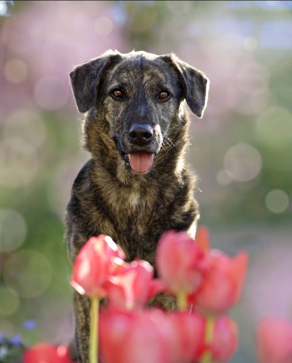 Tierfotografie
